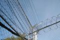 В Алтайском крае 48-летнюю женщину и её дочь обвиняют в мошенничестве
