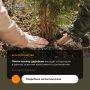 В сентябре в Барнауле традиционно высаживают деревья в рамках поддержания архитектуры зелёного каркаса города