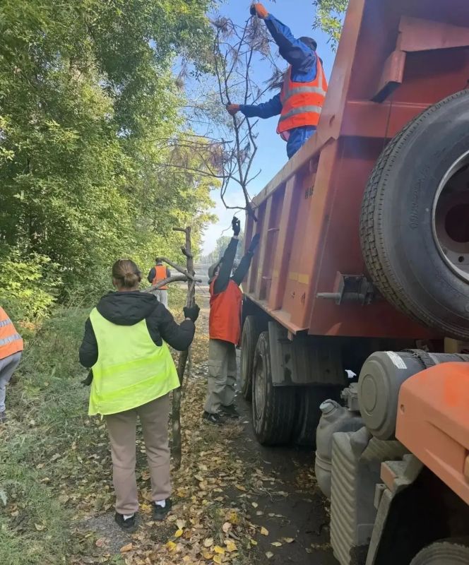 Коммунальные службы продолжают работы по благоустройству городских территорий Коммунальные службы продолжают работы по благоустройству городских территорий
