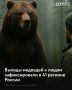 С начала 2026 года случаи выхода медведей к населенным пунктам и появления хищников на городских улицах зафиксировали в 41 регионе России
