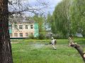 Активность клещей растет в Алтайском крае