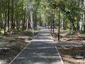 В Ленинском районе Барнаула ведутся работы по благоустройству зеленой зоны