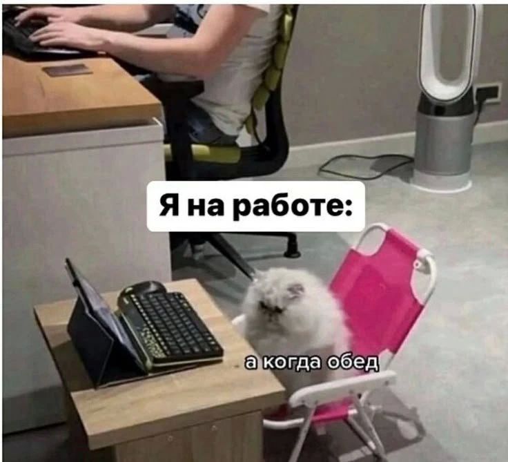Доброе утро, Алтайский край!