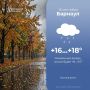 Дождь ожидается в Барнауле сегодня