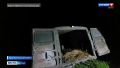 Алтайские полицейские задержали браконьеров, которые ездили по лесу без прав и отстреливали сибирских косуль