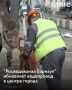 "������������ �������" �������������� ���� ������������� � ����������� ����� ������