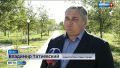 Курортный город Яровое решили сделать более зелёным