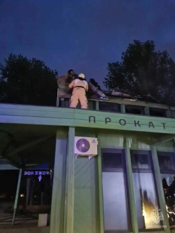 Кафе сгорело ночью в парке «Изумрудный» в Барнауле Кафе сгорело ночью в парке «Изумрудный» в Барнауле