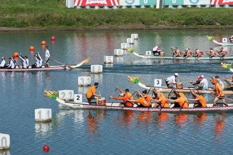 Барнауле прошел чемпионат Алтайского края по гребле на лодках Барнауле прошел чемпионат Алтайского края по гребле на лодках