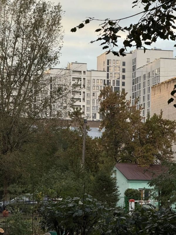 Вот и пятница! Всем доброе утро!