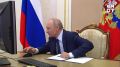 Владимир Путин проголосовал на выборах через ДЭГ, сообщили в Кремле