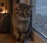 Очевидцы: кот несколько дней кричит в запертой квартире в Барнауле