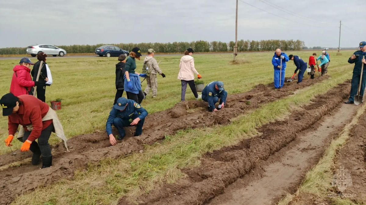 Второй день акции «Семейный лес»: представители молодежного совета МЧС России — за зелёное будущее Алтая Второй день акции «Семейный лес»: представители молодежного совета МЧС России — за зелёное будущее Алтая