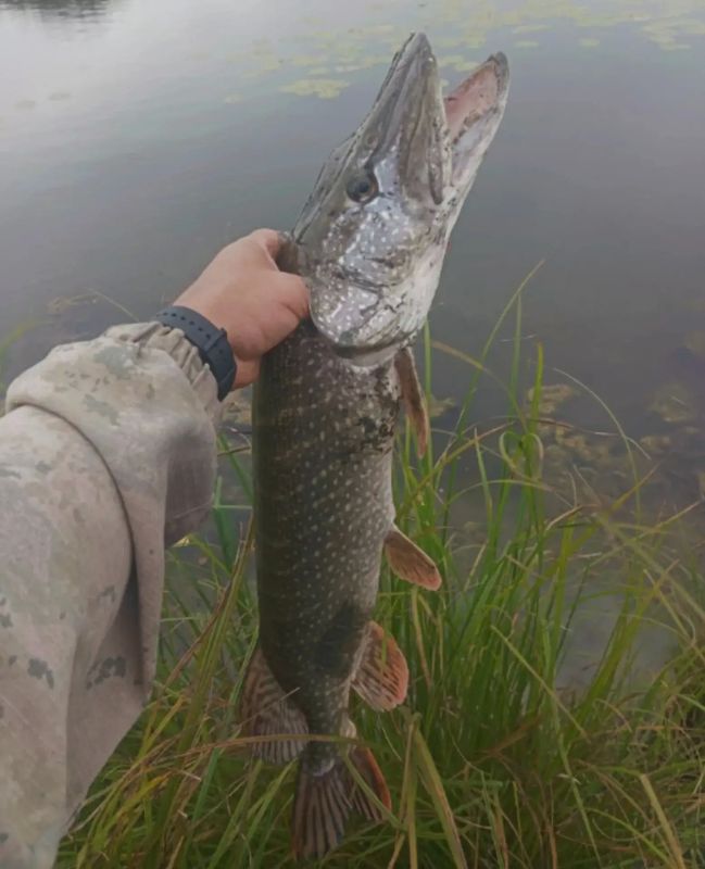 В Алтайском крае идет сезон осенней рыбалки В Алтайском крае идет сезон осенней рыбалки