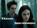 ����� �������� 2008 ���� ����� �������� � ���������� ����������