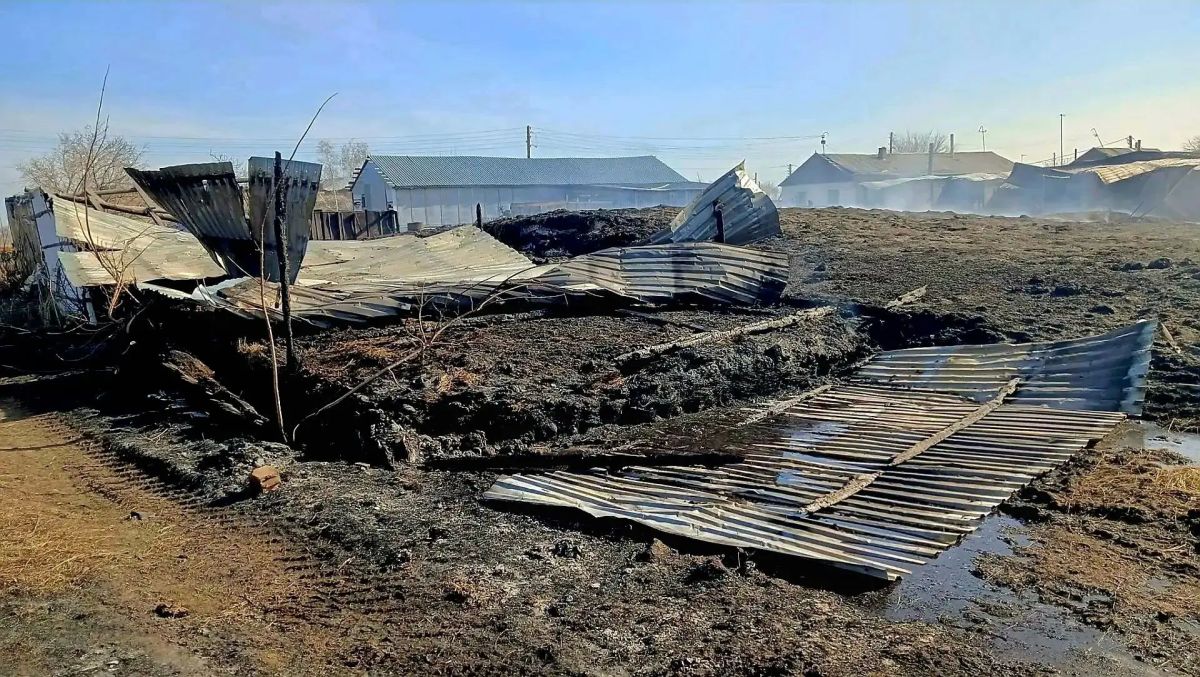 Погибли 12 животных, уничтожены постройки и корма: Славгородской межрайонной прокуратурой утвержден обвинительный акт по уголовному делу о неосторожном обращении с огнем Погибли 12 животных, уничтожены постройки и корма: Славгородской межрайонной прокуратурой утвержден обвинительный акт по уголовному делу о неосторожном обращении с огнем