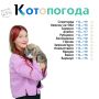 На этой неделе «Котопогоду» на телеканале «Катунь 24» будут вести Ева Дёмина и её кот — Космос
