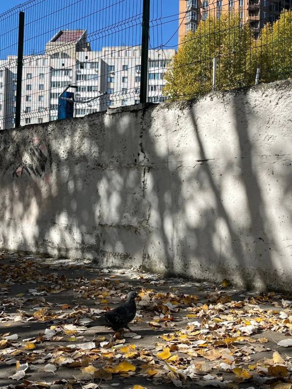 Доброе утро! Новая рабочая неделя в Алтайском крае начнется с прохлады и дождей Доброе утро! Новая рабочая неделя в Алтайском крае начнется с прохлады и дождей