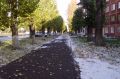 Первый снег ожидают в сентябре в Алтайском крае