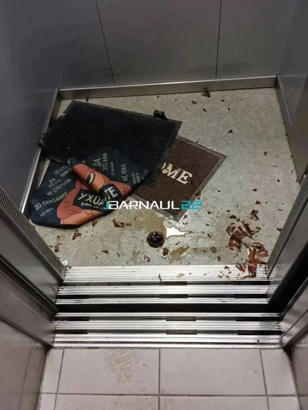 В Барнауле женщина разгромила два подъезда Утром 22 сентября женщина устроила погром сразу в двух подъездах домов на Балтийской, 99 и 95, сообщает Barnaul 22. Она переворачивала детские велосипеды, самокаты, коврики и другие... В Барнауле женщина разгромила два подъезда Утром 22 сентября женщина устроила погром сразу в двух подъездах домов на Балтийской, 99 и 95, сообщает Barnaul 22. Она переворачивала детские велосипеды, самокаты, коврики и другие...