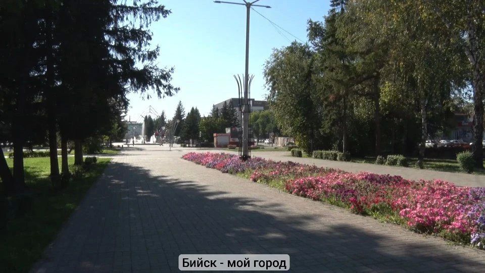 В новом выпуске программы "По улочкам Бийска" в поле зрения оказалось любимое место прогулок наших горожан В новом выпуске программы "По улочкам Бийска" в поле зрения оказалось любимое место прогулок наших горожан