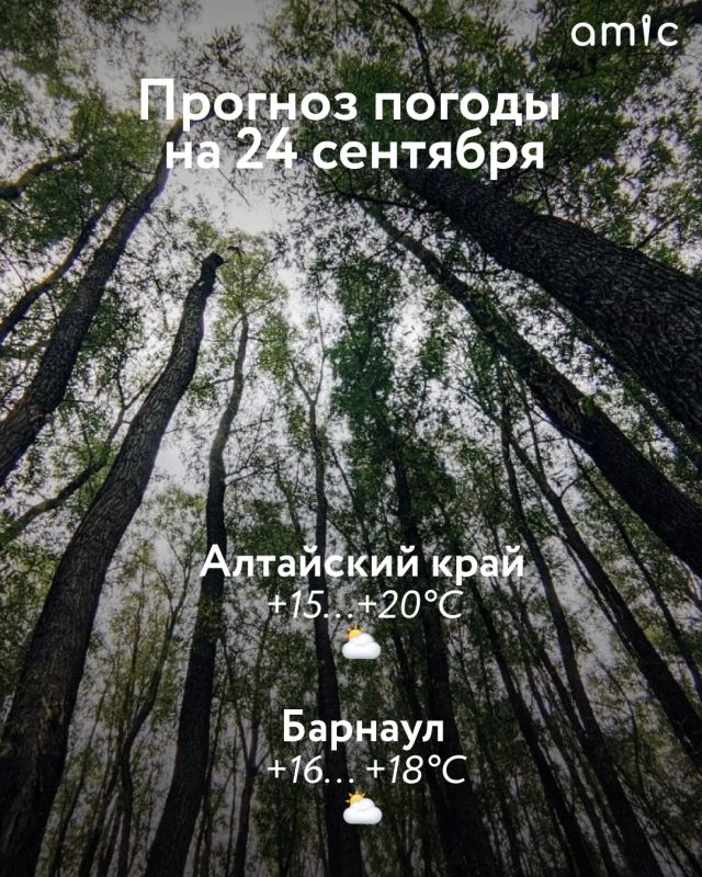 В Алтайском крае 24 сентября ожидается теплая осенняя погода, сообщает региональный Гидрометцентр.