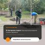 � �������� ������ ����� ��� ������� �������� �� ����������