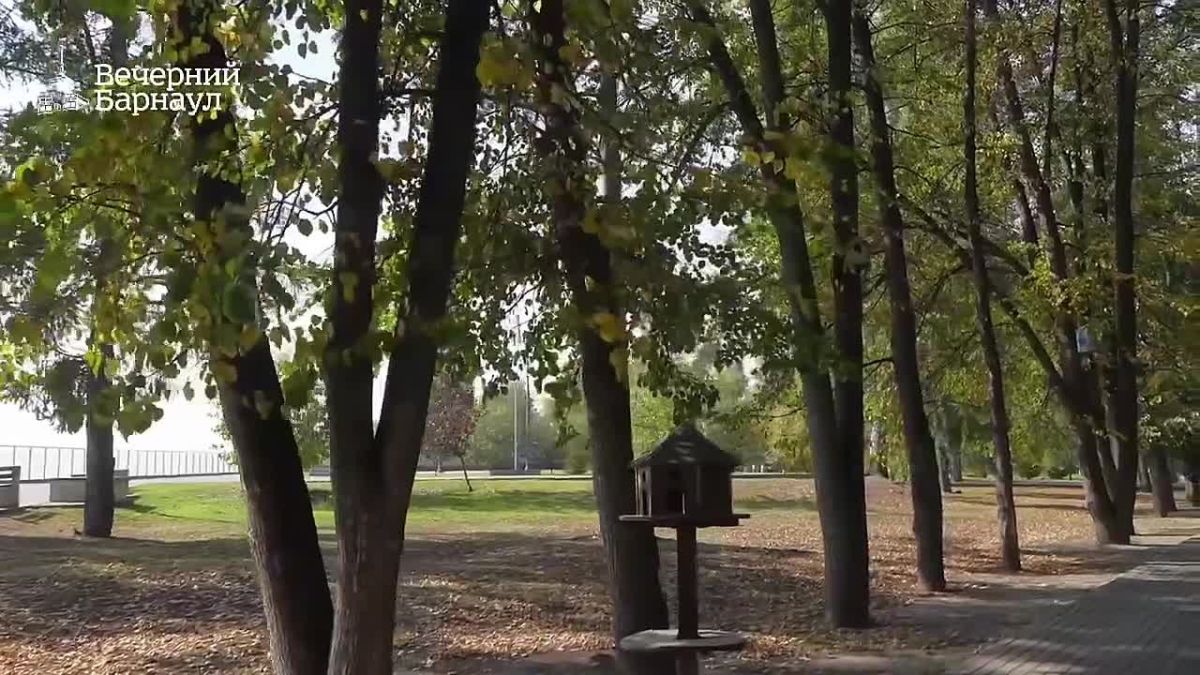 Вновь признаёмся в чувствах любимому Барнаулу