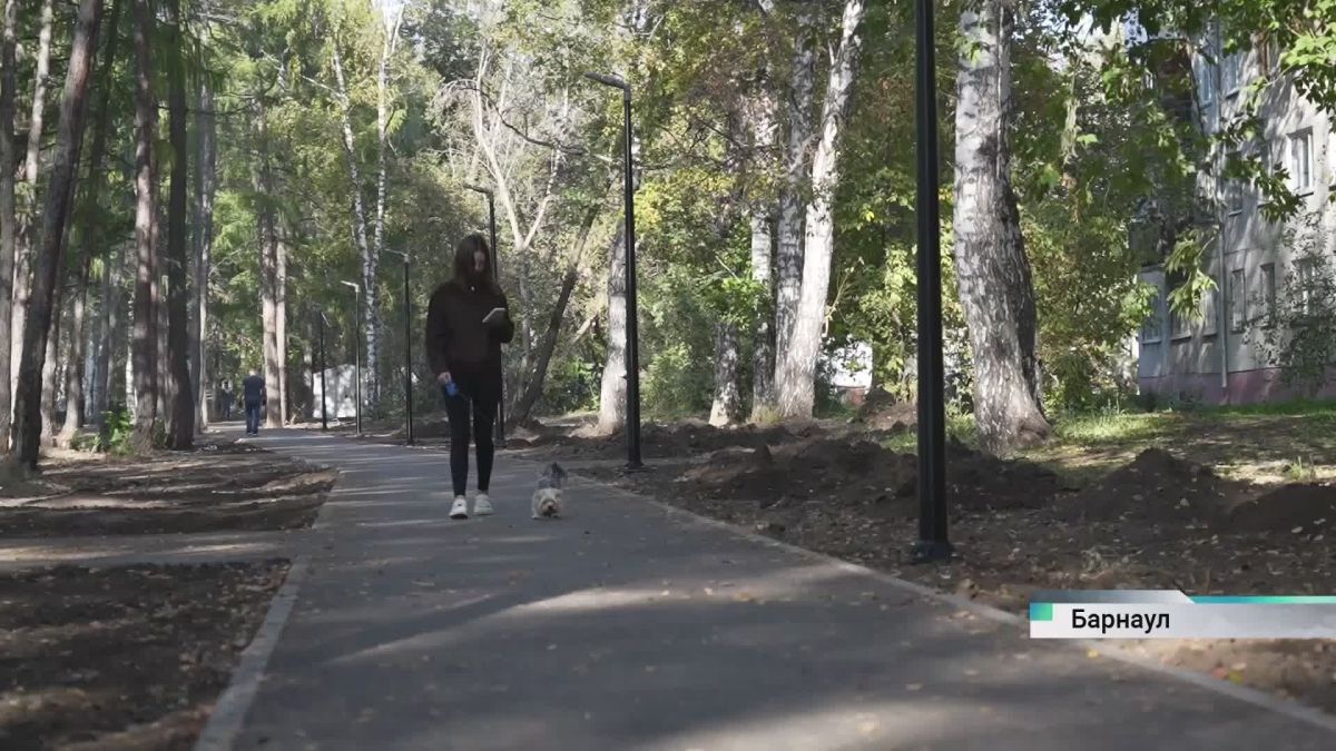 В Барнауле заложили аллею, которую откроют к юбилею Шукшина