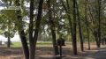 Вновь признаёмся в чувствах любимому Барнаулу