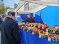 В минувшую субботу, 26 сентября, 11 тысяч барнаульцев посетили городскую ярмарку