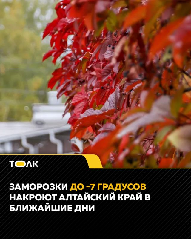 Заморозки до -7 градусов ударят по Алтайскому краю в последние ночи сентября
