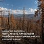 ��������� ������ ������� ���������� ���� ����� ��������� ��������� � ��������� ������ ���