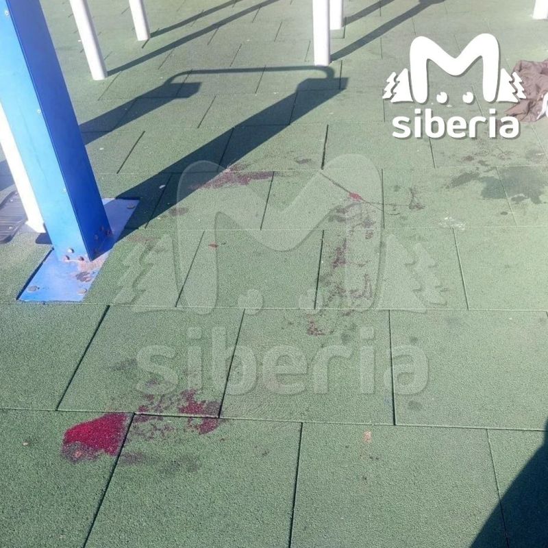 12-летняя школьница ранила ножом двух детей на детской площадке в Новосибирске 12-летняя школьница ранила ножом двух детей на детской площадке в Новосибирске