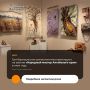 � ��������� ��������������� ���� ��������� ���������� ��������� ������������ ������� �������� ������ ����������