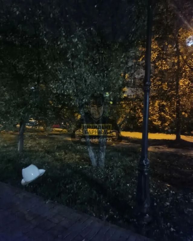 Молодые люди в Барнауле устроили погром на аллее Георгия Исакова
