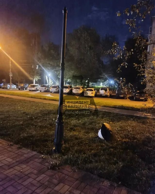 Молодые люди в Барнауле устроили погром на аллее Георгия Исакова Молодые люди в Барнауле устроили погром на аллее Георгия Исакова