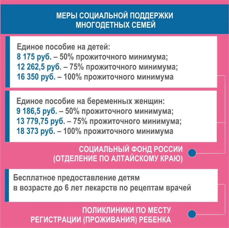 Меры социальной поддержки многодетных семей в Алтайском крае Меры социальной поддержки многодетных семей в Алтайском крае