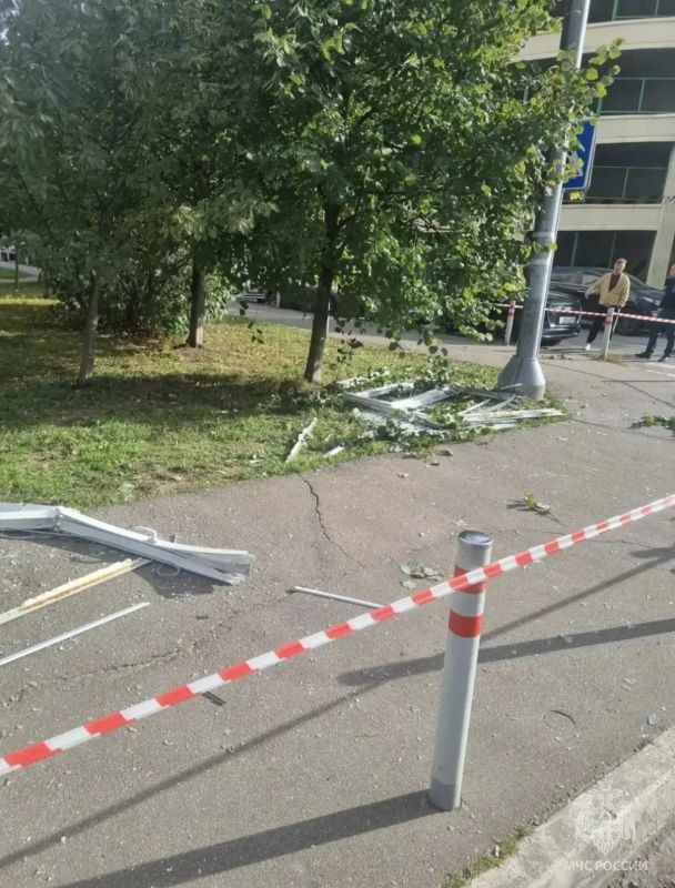 Кот мог взорвать квартиру в подмосковном Одинцово Кот мог взорвать квартиру в подмосковном Одинцово