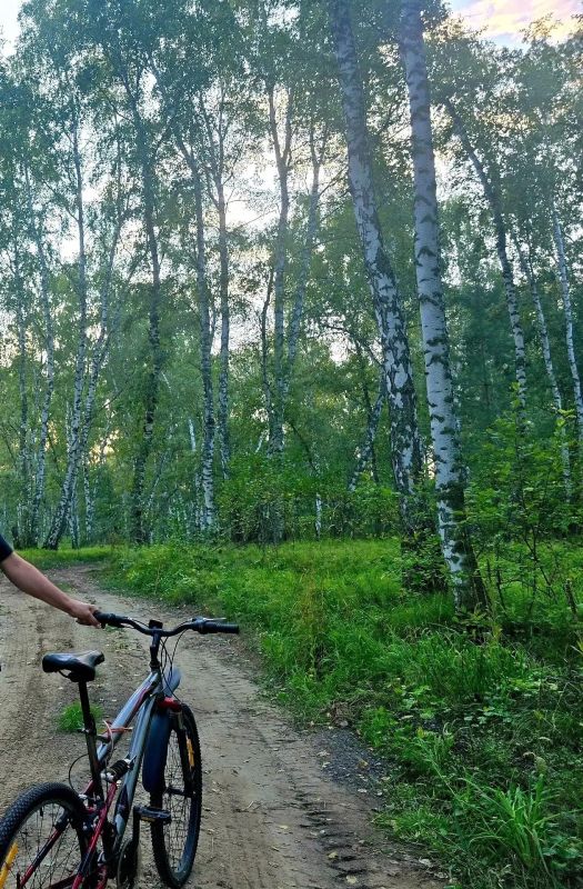 Прокурором г.Новоалтайска направлено в суд уголовное дело по обвинению жителя Первомайского района в разбойном нападении на несовершеннолетнюю девочку