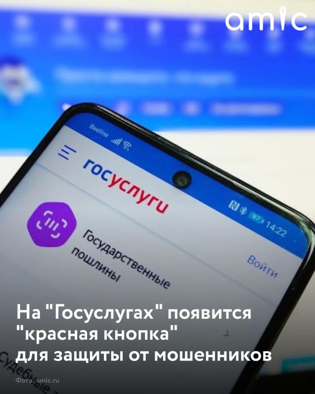 На «Госуслугах» заработает «красная кнопка» для защиты россиян от мошенников