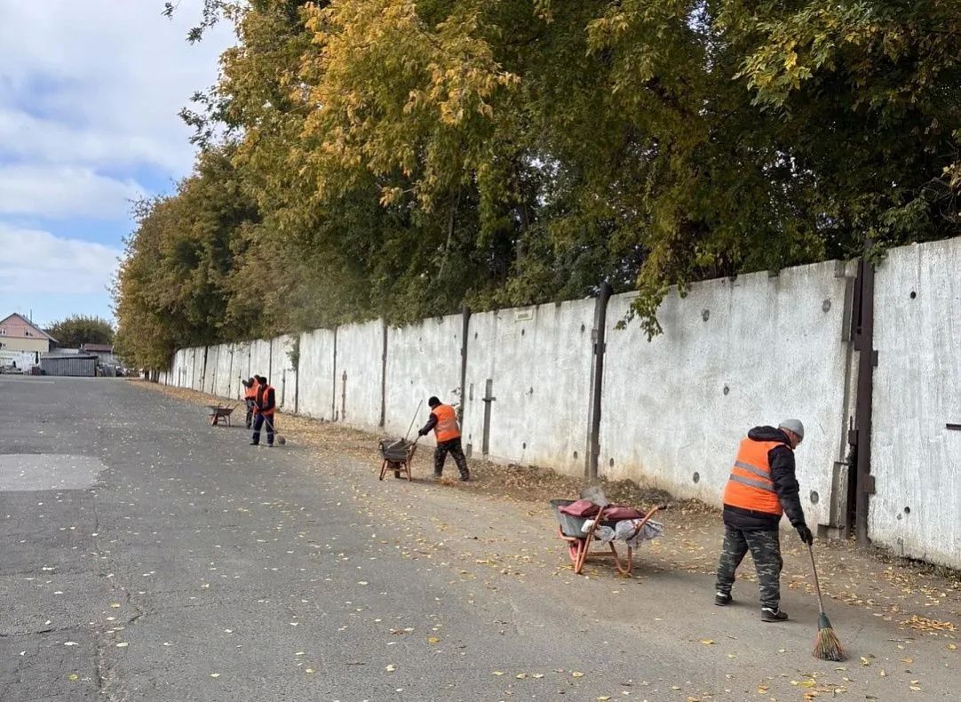 Более 8 тысяч барнаульцев приняли участие в первом «Чистом четверге» Более 8 тысяч барнаульцев приняли участие в первом «Чистом четверге»