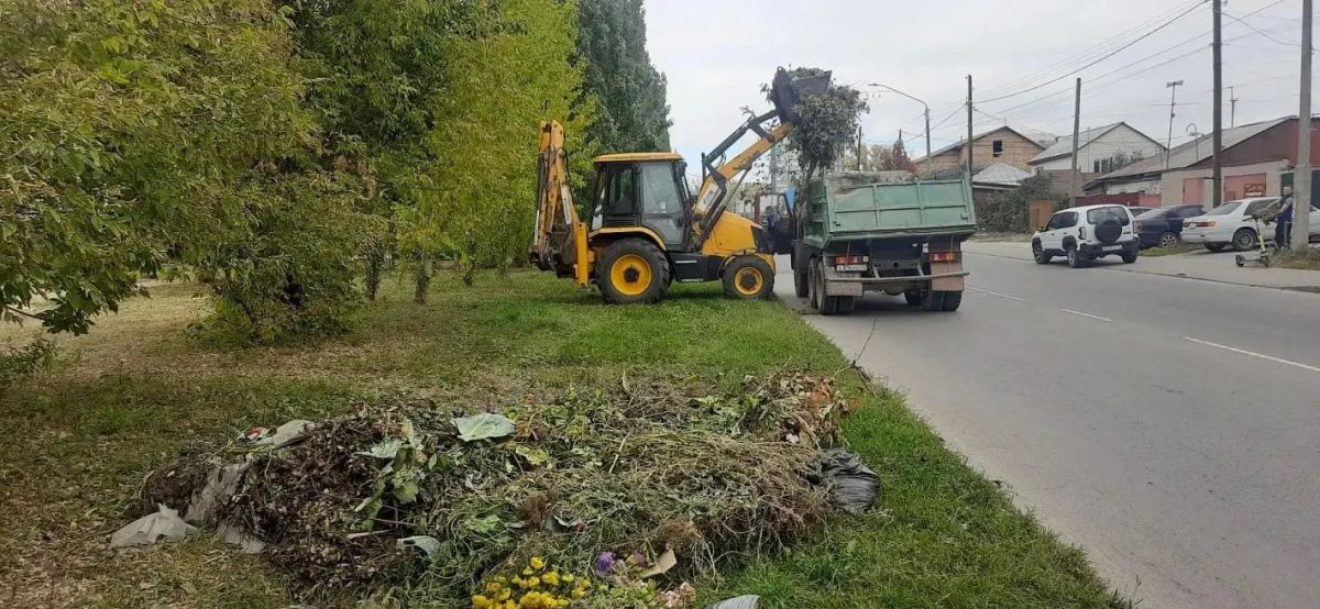 Более 8 тысяч барнаульцев приняли участие в первом «Чистом четверге»
