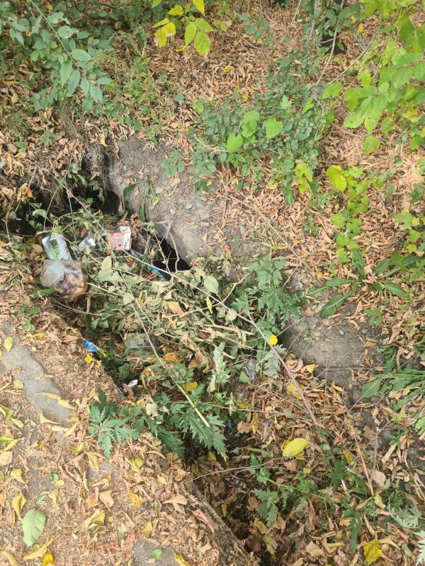 Бийчане нашли в городе опасный участок, где провалился грунт, и опубликовали информацию в социальных сетях Бийчане нашли в городе опасный участок, где провалился грунт, и опубликовали информацию в социальных сетях