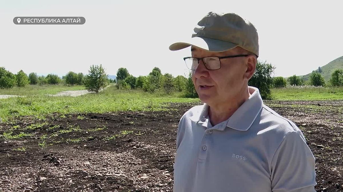 Хорошая динамика: льготникам в Республике Алтай массово выделяют земельные участки