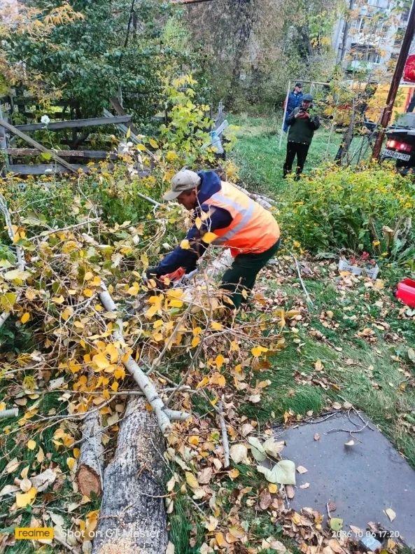 В Барнауле городские службы устраняют последствия непогоды В Барнауле городские службы устраняют последствия непогоды