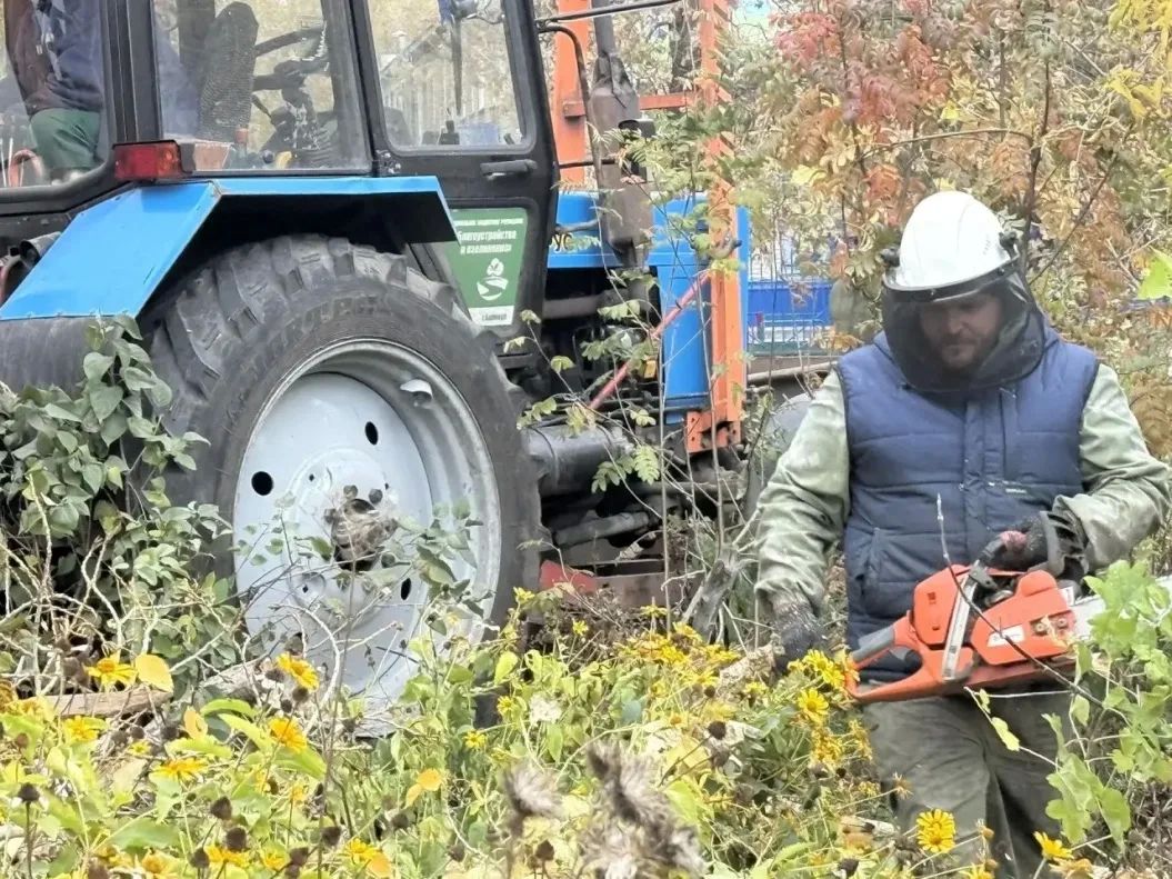 В Барнауле городские службы устраняют последствия непогоды В Барнауле городские службы устраняют последствия непогоды