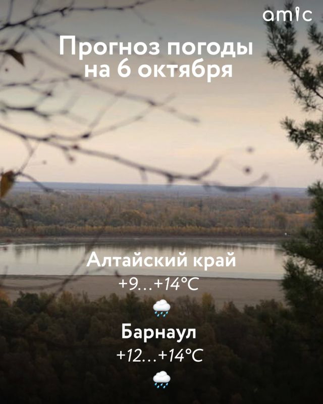 Доброе утро! Какой будет погода 6 октября? Делимся прогнозом регионального Гидрометцентра