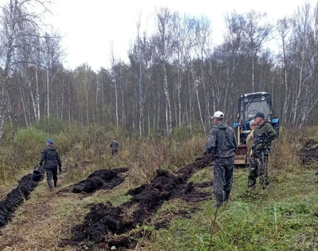 «Сохраним лес»: более 80 тысяч деревьев высадили в Залесовском лесничестве «Сохраним лес»: более 80 тысяч деревьев высадили в Залесовском лесничестве