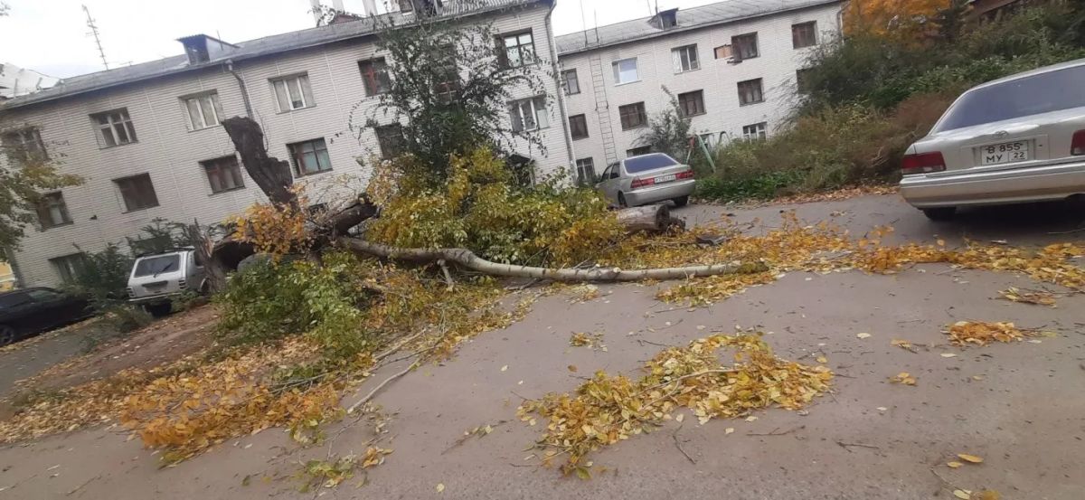 В Барнауле городские службы устраняют последствия непогоды В Барнауле городские службы устраняют последствия непогоды